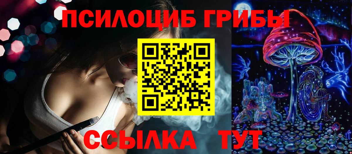 Псилоцибиновые грибы Psilocybine cubensis  Вход с VPN  Сергиев Посад 